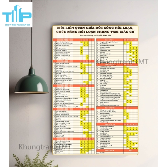 Tranh huyệt vị nhỉ châm -  Sơ đồ thần kinh giao cảm tráng gương cao cấp