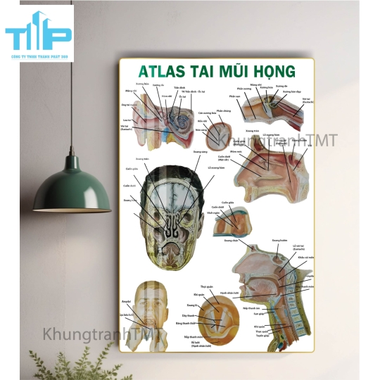 Tranh treo phòng tập, tranh tráng gương hỗ trợ tập gym