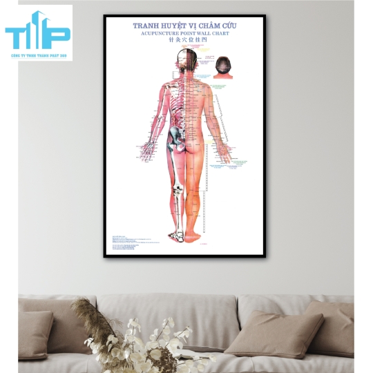 Tranh tráng gương huyệt đạo châm cứu 