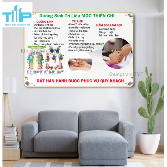 Khung tranh tráng gương - Thế giới dưỡng sinh - vật lý trị liệu - đả thông kinh lạc