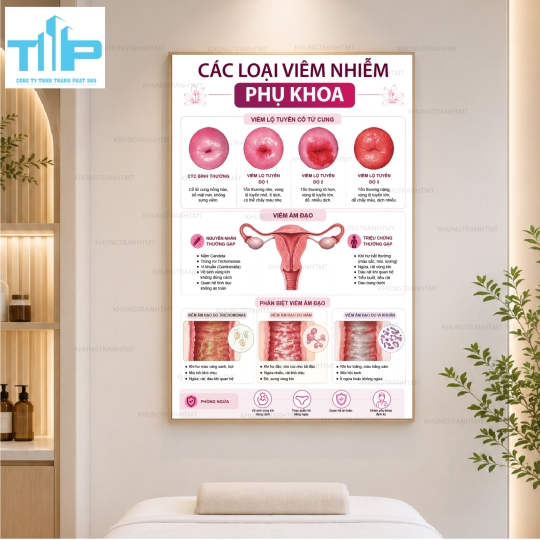 Tranh Tráng Gương Y Khoa Sức Khỏe Sinh Sản – Phụ Khoa, Nam Khoa, Vô Sinh & Hiếm Muộn