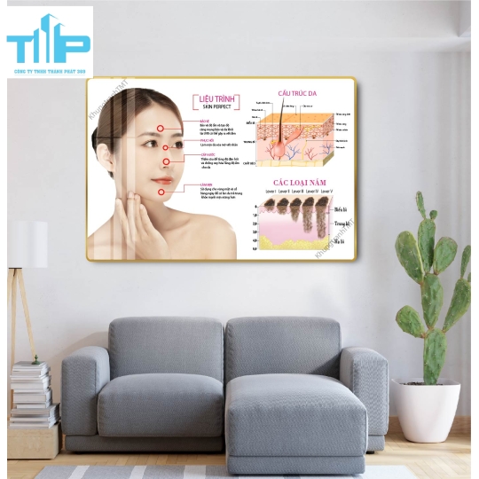 tranh treo tường thẩm mỹ chuyên các vấn đề về da cho spa 