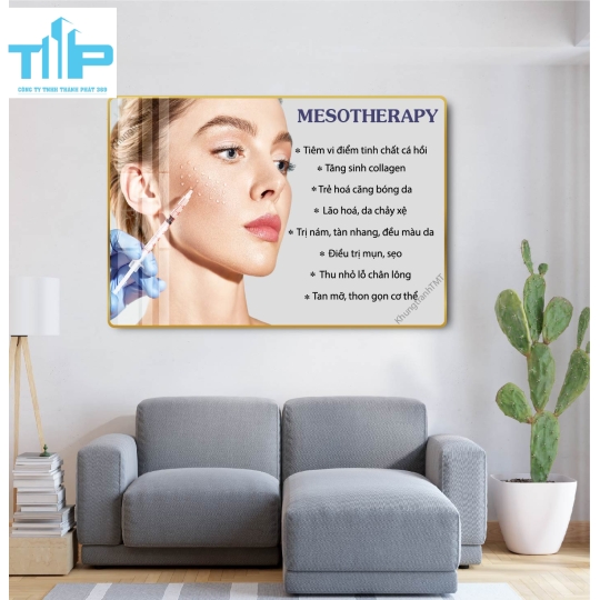 tranh treo tường thẩm mỹ chuyên các vấn đề về da cho spa 