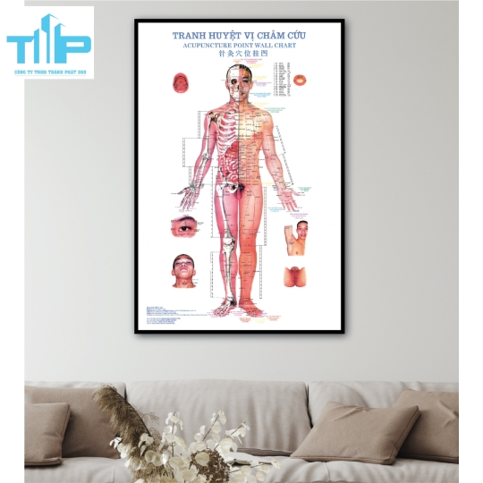 Tranh tráng gương huyệt đạo châm cứu 
