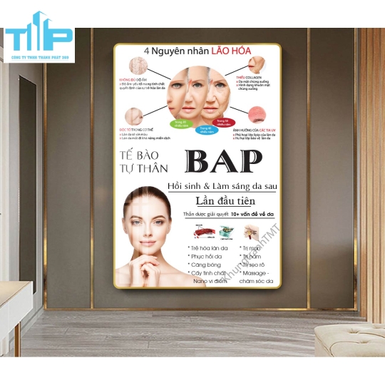 khung tranh tráng gương trang trí cho spa thẩm mỹ viện về cấc vấn đề da