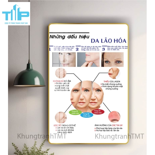 khung tranh tráng gương trang trí cho spa thẩm mỹ viện về cấc vấn đề da