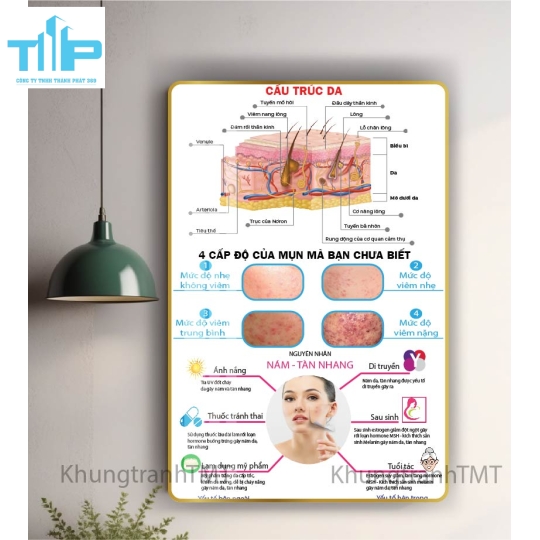 khung tranh tráng gương trang trí cho spa thẩm mỹ viện về cấc vấn đề da