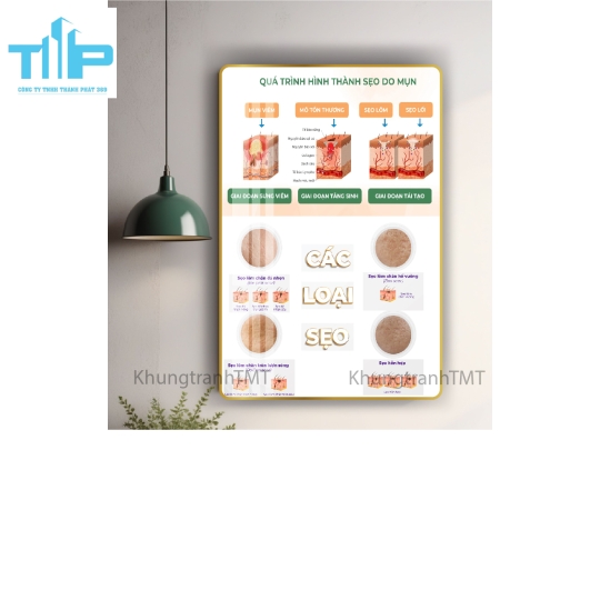 tranh trang trí, tinh xảo, thẩm mỹ, đẹp mắt cho thẩm mỹ viện spa về các vấn đề da