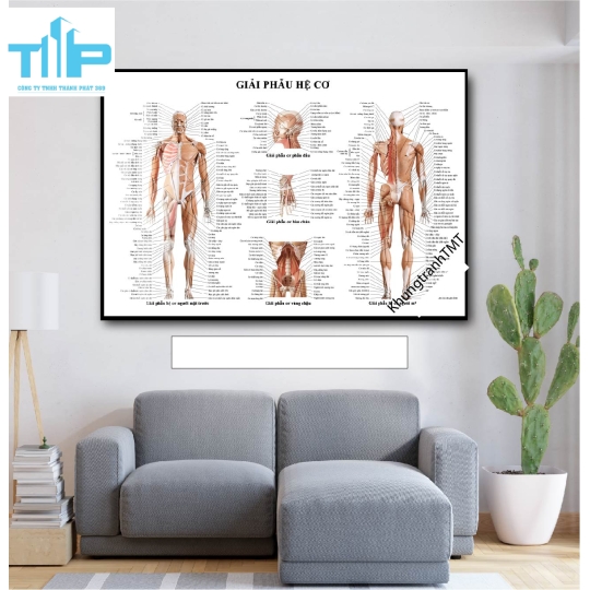 Tranh tráng gương huyệt đạo châm cứu 