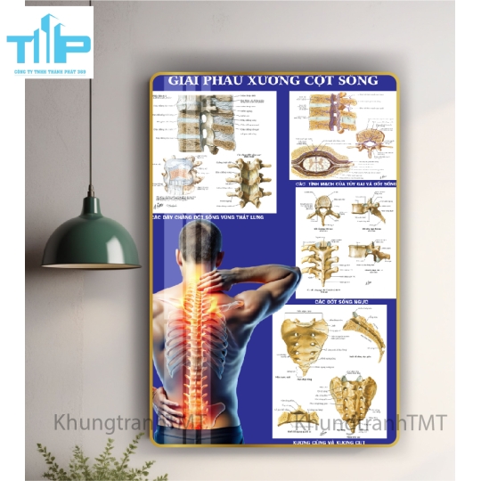 Khung tranh tráng gương - Dưỡng sinh trị liệu điện sinh học 