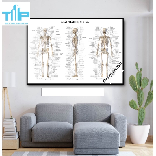 Tranh tráng gương huyệt đạo 