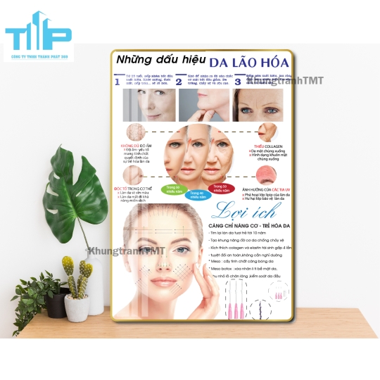 Tranh cấu tạo và các tình trạng về da - tranh tráng gương đa năng decor spa, thẩm mỹ viện trên cả nước