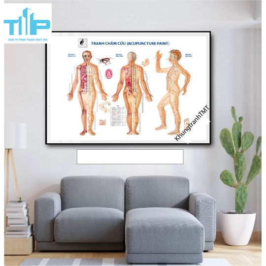 Tranh tráng gương huyệt đạo 