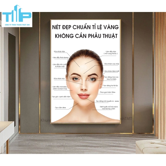 khung tranh thẩm mỹ sang trọng dành cho spa thẩm mỹ viện 