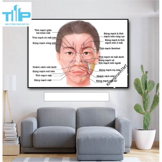 Tranh tráng gương huyệt đạo 