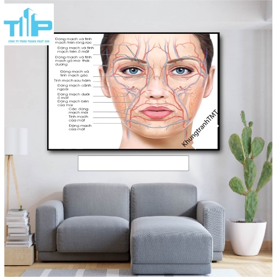 Tranh tráng gương huyệt đạo 