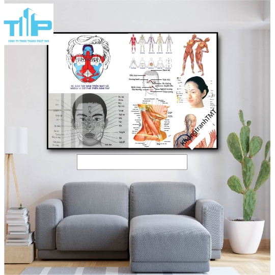 Tranh tráng gương huyệt đạo 