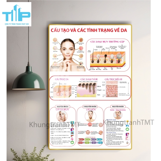 Tranh cấu tạo và các tình trạng về da - tranh tráng gương đa năng decor spa, thẩm mỹ viện trên cả nước