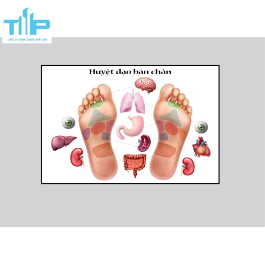 khung tranh tráng gương cho spa về huyệt đạo