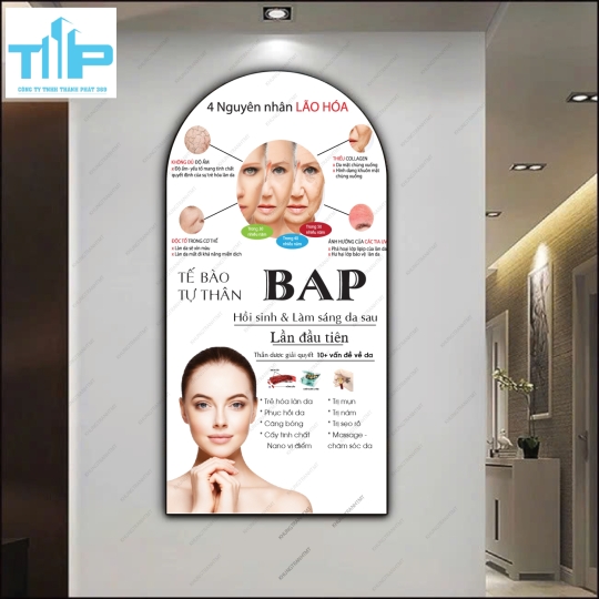 Chuyên điều trị và chăm sóc da - tranh vòm tráng gương cao cấp