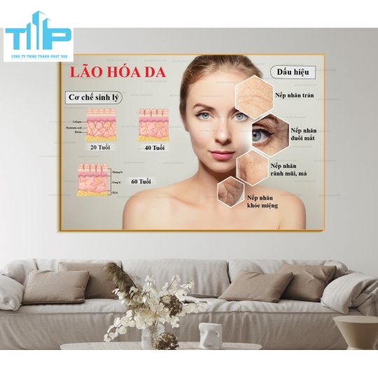 Tranh tráng gương Quá trình tăng sắc tố, lão hóa da,......