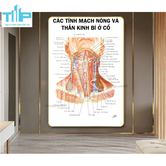 Khung tranh huyệt đạo hỗ trợ bấm huyệt