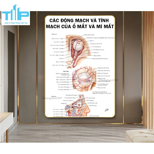 Khung tranh huyệt đạo hỗ trợ bấm huyệt