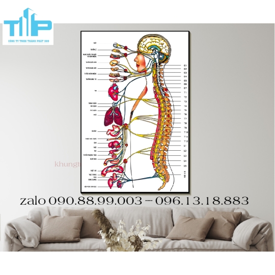 tranh tráng gương trang trí spa chuyên về chăm sóc da