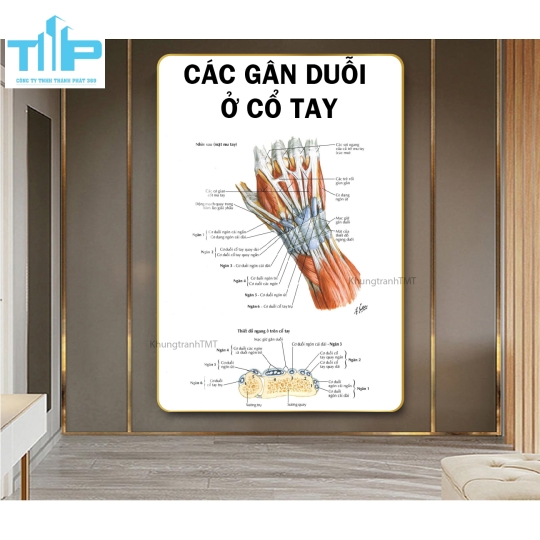 Tranh huyệt đạo tráng gương chuyên điều trị bấm huyệt đau cổ vai gáy