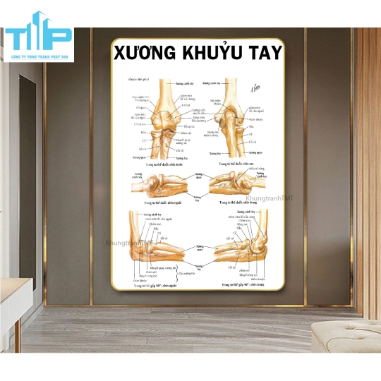 Tranh huyệt đạo tráng gương chuyên điều trị bấm huyệt đau cổ vai gáy