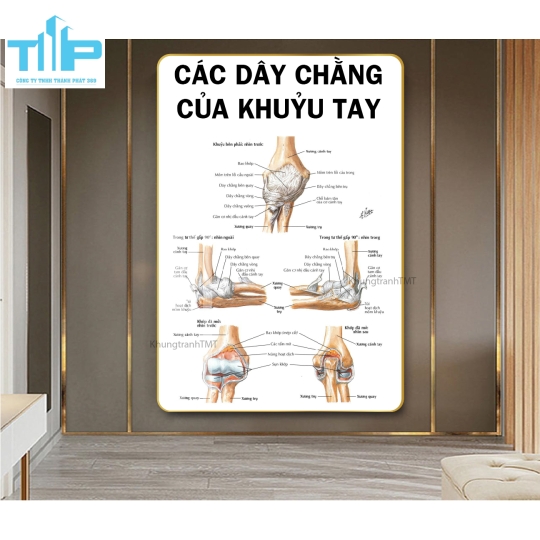 Tranh huyệt đạo tráng gương chuyên điều trị bấm huyệt đau cổ vai gáy
