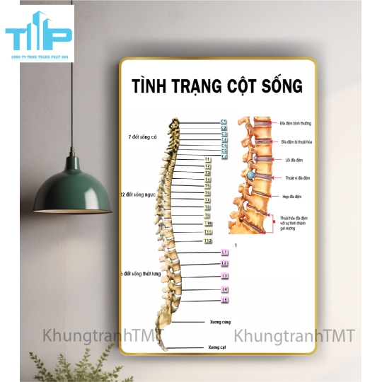 Tranh huyệt đạo hệ kinh lạc cho spa thẩm mỹ viện
