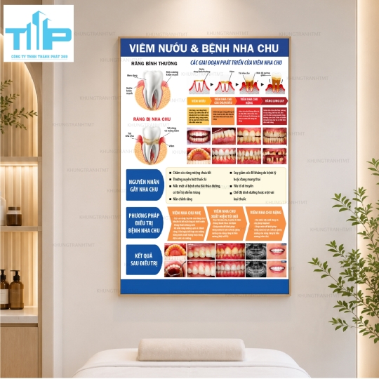 Tranh Tráng Gương Phòng Khám Nha Khoa – Bộ Tranh Kiến Thức Răng Miệng Cao Cấp