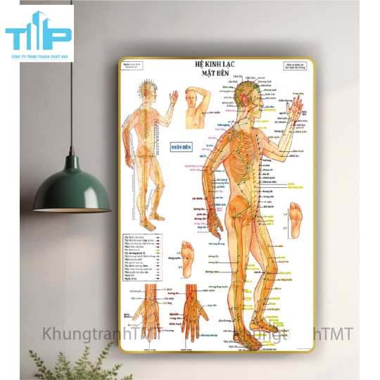 Tranh huyệt đạo hệ kinh lạc cho spa thẩm mỹ viện