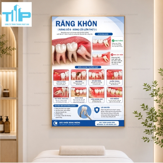 Tranh Tráng Gương Phòng Khám Nha Khoa – Bộ Tranh Kiến Thức Răng Miệng Cao Cấp