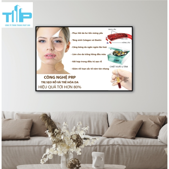 khung tranh  chăm sóc điều trị tráng gương trang trí spa thẩm mỹ viện