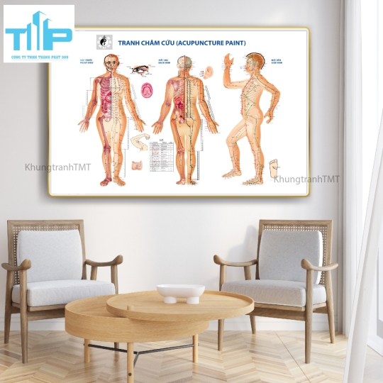 Khung tranh tráng gương huyệt đạo kinh lạc 