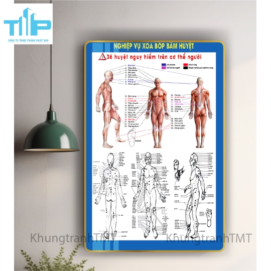 Khung tranh tráng gương huyệt đạo kinh lạc 