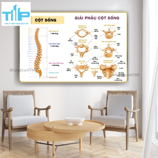 Khung tranh tráng gương huyệt đạo kinh lạc 