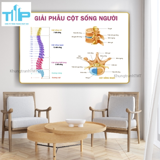 Khung tranh tráng gương huyệt đạo kinh lạc 