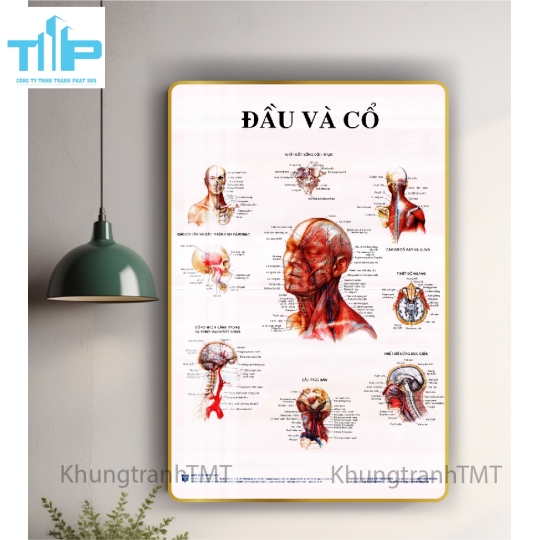 Tranh tráng gương tranh bấm huyệt đạo 