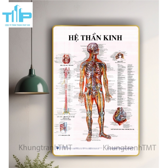 Tranh tráng gương tranh bấm huyệt đạo 