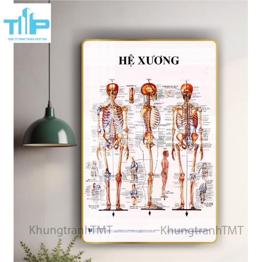 Tranh tráng gương tranh bấm huyệt đạo 