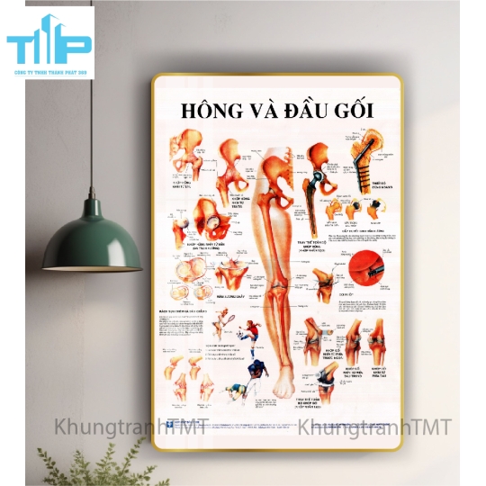 Tranh tráng gương tranh bấm huyệt đạo 